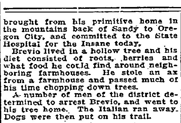 Dogs tree insane man - February 23, 1916